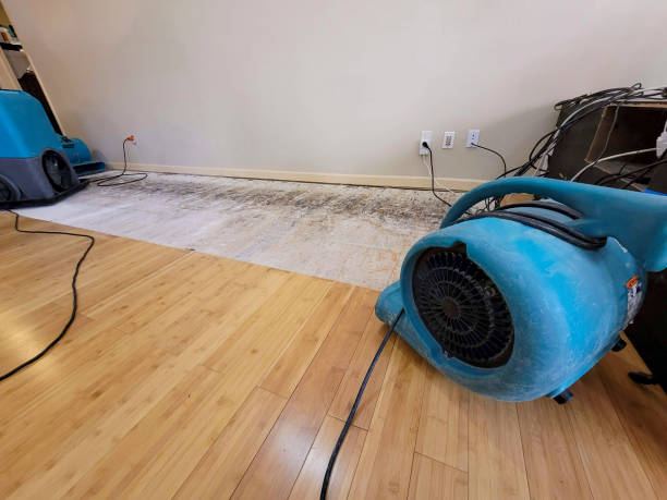 Professional Basement Flood Cleanup technician working in Presto, PA